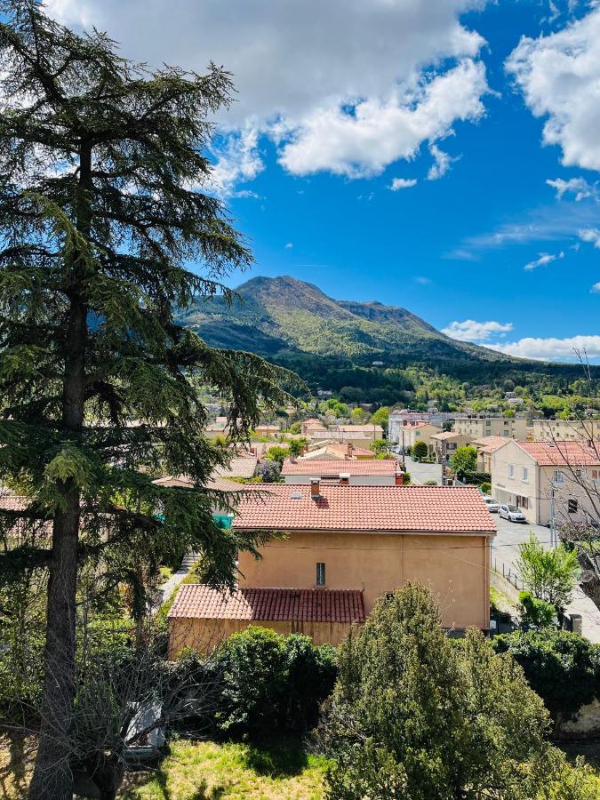 Les Glycines, Charmant Studio Au Calme Dans Batisse De Maitre Proche Du Centre Ville Parking Gratuit Digne-les-Bains Εξωτερικό φωτογραφία